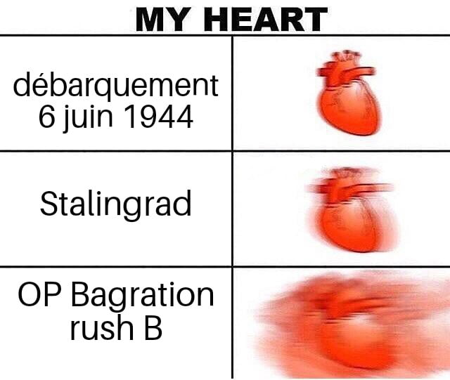 meme bragration