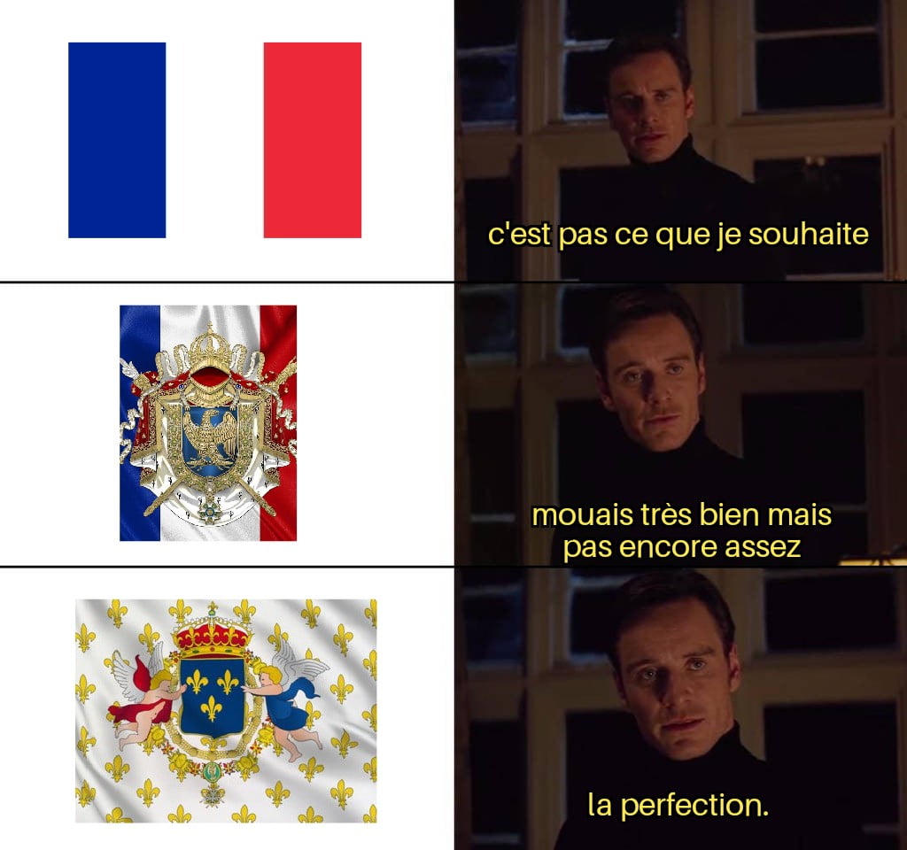 Meme drapeau français